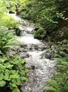 精霊たちはここにいます☆